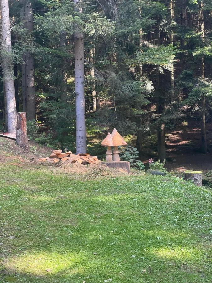 Penzion Turzov Gelnica Eksteriør billede